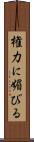 権力に媚びる Scroll