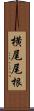 横尾尾根 Scroll