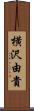 横沢由貴 Scroll