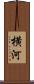 横河 Scroll