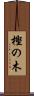樫の木 Scroll