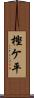 樫ケ平 Scroll