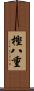樫八重 Scroll