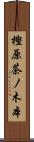 樫原茶ノ木本 Scroll