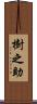 樹之助 Scroll