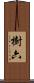 樹六 Scroll