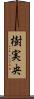 樹実央 Scroll