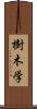 樹木学 Scroll