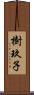樹玖子 Scroll