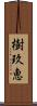樹玖恵 Scroll