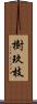 樹玖枝 Scroll