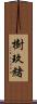 樹玖緒 Scroll