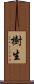 樹生 Scroll