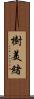 樹美緒 Scroll