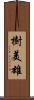 樹美雄 Scroll