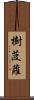 樹菠蘿 Scroll