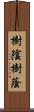 樹陰 Scroll