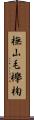 橅 Scroll