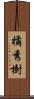 橘秀樹 Scroll