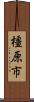橿原市 Scroll