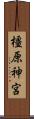 橿原神宮 Scroll
