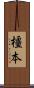 橿本 Scroll