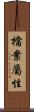 檔案屬性 Scroll