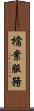 檔案服務 Scroll