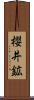 櫻井鉱 Scroll