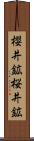 櫻井鉱 Scroll