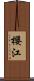 櫻江 Scroll
