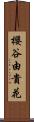 櫻谷由貴花 Scroll