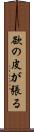 欲の皮が張る Scroll