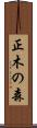 正木の森 Scroll