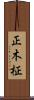 正木 Scroll