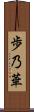 歩乃華 Scroll