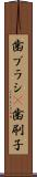 歯ブラシ(P) Scroll