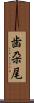 歯朶尾 Scroll
