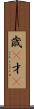 歳(P) Scroll