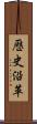 歷史沿革 Scroll