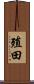 殖田 Scroll