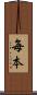 毎本 Scroll