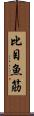 比目魚筋 Scroll