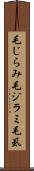 毛じらみ Scroll