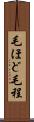 毛ほど Scroll