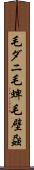毛ダニ Scroll