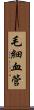 毛細血管 Scroll