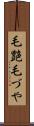毛艶 Scroll