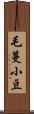 毛蔓小豆 Scroll