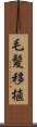 毛髪移植 Scroll
